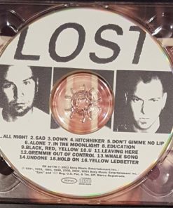 Pearl Jam-2