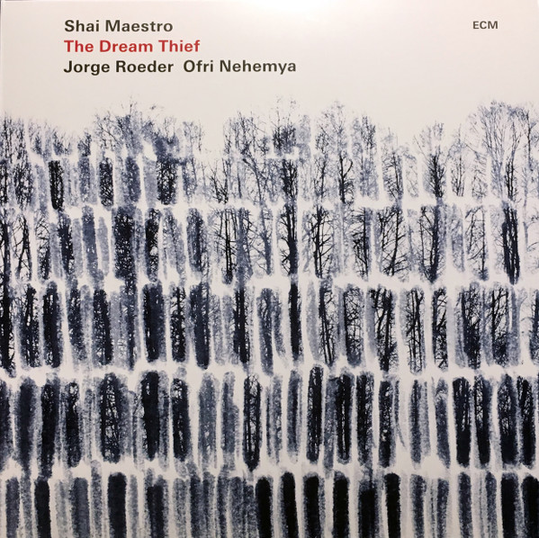 Shai Maestro-0