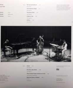 Shai Maestro-1