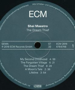 Shai Maestro-2