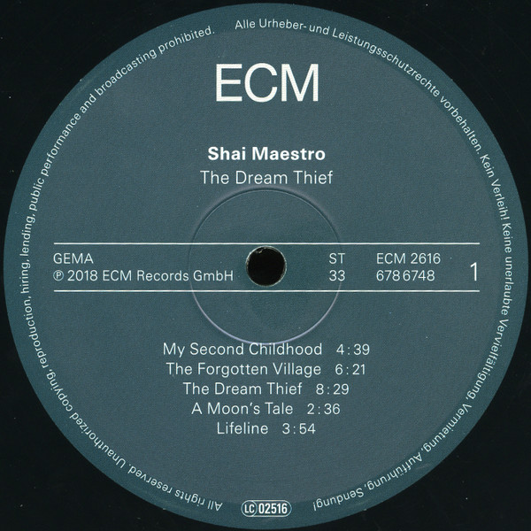 Shai Maestro-2