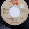 Andy Gibb-0
