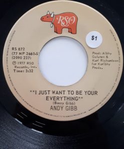 Andy Gibb-0