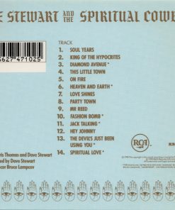 Dave Stewart And The Spiritual Cowboys-1