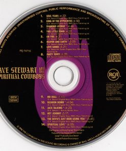 Dave Stewart And The Spiritual Cowboys-2