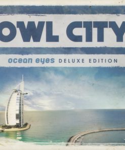 Owl City-0