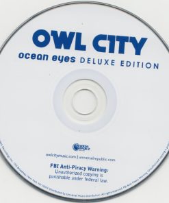 Owl City-2