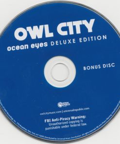 Owl City-3