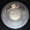 Felix Cavaliere-0