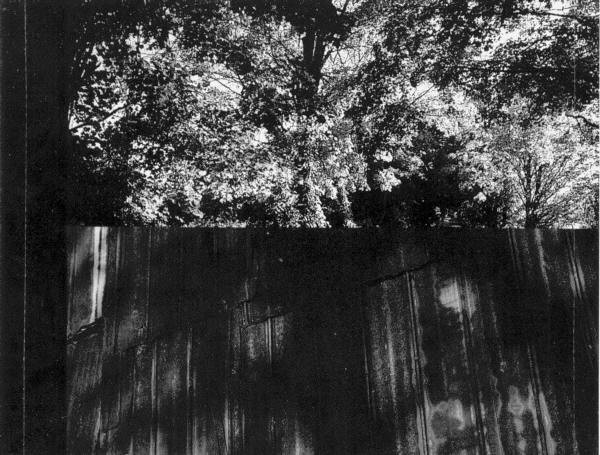 Cowboy Junkies-4