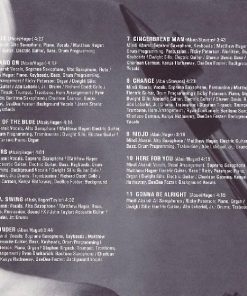 Mindi Abair-2
