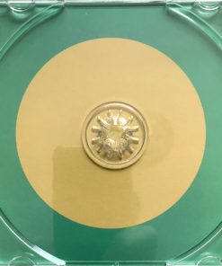 The New Pornographers-1