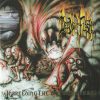 Deeds Of Flesh-0