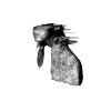 Coldplay-0