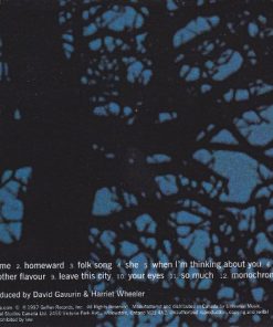 The Sundays-1