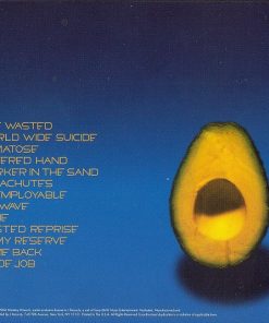 Pearl Jam-1