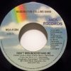 Rossington Collins Band-0