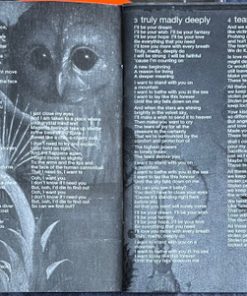 Savage Garden-1