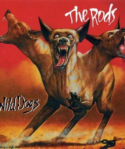 The Rods-0