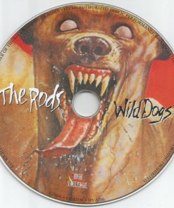 The Rods-2