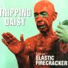 Tripping Daisy-0