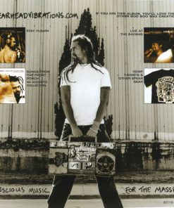Michael Franti And Spearhead-3