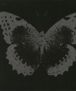 Mariah Carey-4
