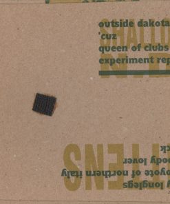 Kittens / Shallow N.D.*-2