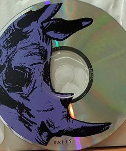 Kittens / Shallow N.D.*-4