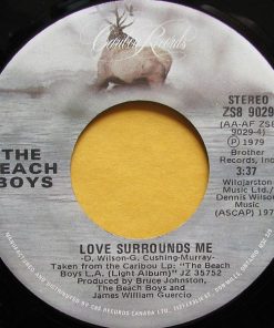 The Beach Boys-1