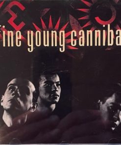 Fine Young Cannibals-0