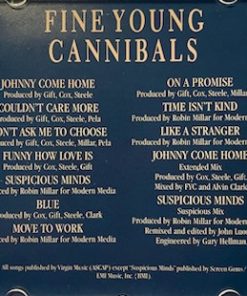Fine Young Cannibals-3