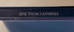 Fine Young Cannibals-4