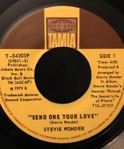 Stevie Wonder-2