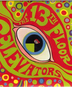 The Thirteenth Floor Elevators*-3