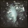 Yeah Yeah Yeahs-0