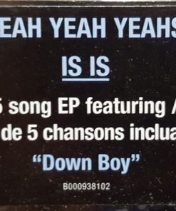 Yeah Yeah Yeahs-1