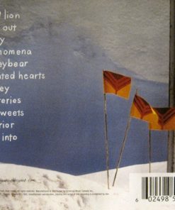 Yeah Yeah Yeahs-1