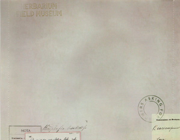 Kathleen Edwards-4