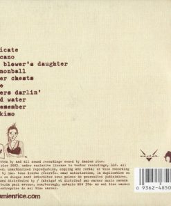Damien Rice-1