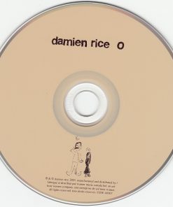 Damien Rice-2