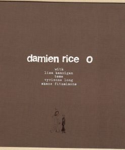 Damien Rice-4