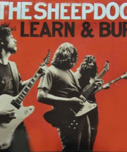 The Sheepdogs-0