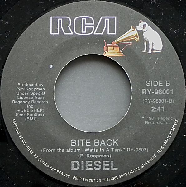 Diesel (5)-1