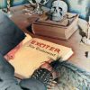 Exciter-0