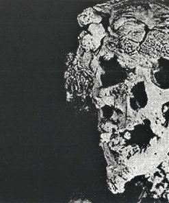 Regurgitate-2
