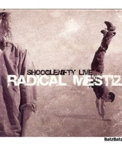 Shooglenifty-0