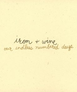 Iron + Wine*-4