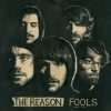The Reason (2)-0