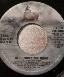 The Beach Boys-0